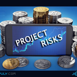 Project risks